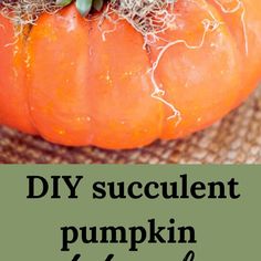 diy succulent planter on a table Succulents In A Pumpkin, Pumpkin Succulent Planter, How To Make Succulent Pumpkins, Pumpkin With Succulents Diy, Succulents In Pumpkins, Pumpkins With Succulents On Top, Pumpkin Succulent Centerpiece Diy, Succulent Pumpkins Diy, Pumpkin Succulent Centerpiece