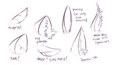 an image of how to draw feathers with different shapes and sizes, including the wings