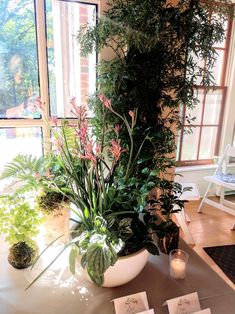 a table topped with a white bowl filled with plants