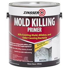 a can of mold killing primer