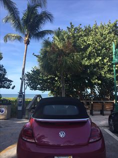 the back end of a red car parked in a parking lot next to palm trees