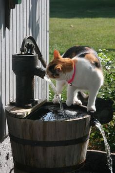 a cat standing on top of a wooden barrel drinking water from a faucet