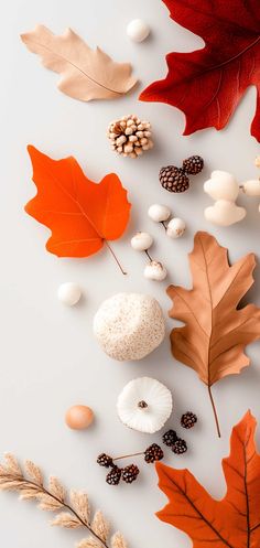 50+ Fall Backgrounds iPhone Aesthetic Ideas To Fall In Love With Your Screen Fall Backgrounds For Iphone, Minimalist Fall Wallpaper, Thanksgiving Aesthetics, Fall Backgrounds Iphone Aesthetic, Backgrounds Iphone Aesthetic, Fall Backgrounds Iphone, Fall Backgrounds, Backgrounds Iphone