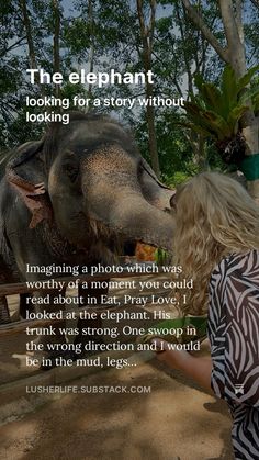 the elephant is looking for a story without looking at it's own person,