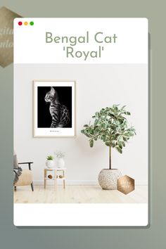 a living room with a cat sitting on the wall next to a potted plant