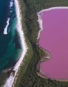 an aerial view of pink lake surrounded by green trees and white sand on the beach