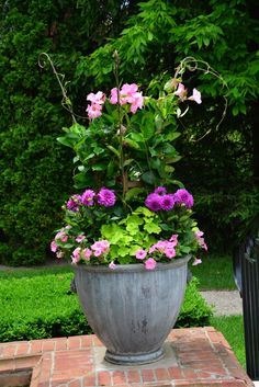 a potted plant sitting on top of a brick patio