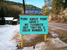 a blue sign that says puns about pop aren't my favorite but they're a solid number 2