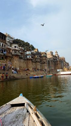 a bird flying over a body of water with houses on the hill in the background