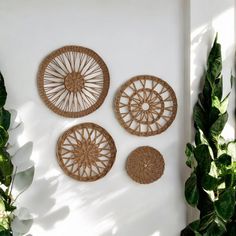 three woven wall hangings on a white wall next to green plants and potted plants