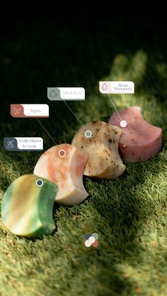 three different types of rocks sitting in the grass with labels on them that indicate where they are