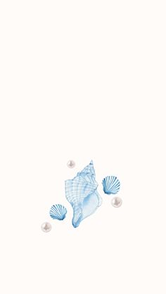 three seashells and pearls on a white background