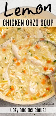 a bowl of chicken orzo soup with the title overlay reads, lemon chicken orzo soup