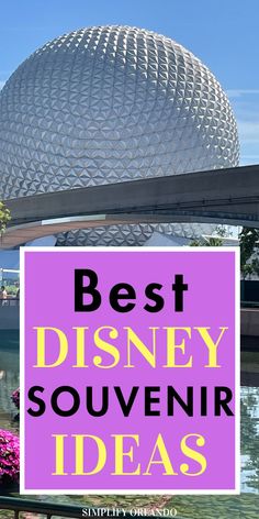 Disney World Souvenirs Best Disney World Souvenirs, Vacation 2025, Disney World Souvenirs, Disney Travel Agents, Disney World Rides, Best Things To Buy, Trip To Disney World, Disney Souvenirs