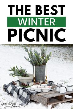 the best winter picnic is on display in the snow with pine cones and evergreens