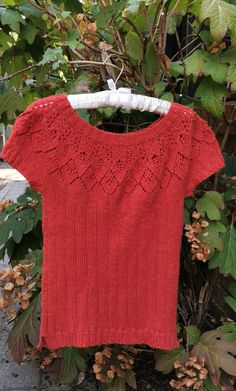 a red sweater hanging on a clothesline next to some leaves and flowers in the background