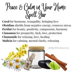 #ritual #protectionmagic #protection #safety #danger #diy #pagan #enchantments  #magick #witchcraft #magic #crystals #candlemagic  #safetymanagement #preservation #selfpositivity #protect #witchcraft #spells #homeprotection #home #family Focus Spell Jar Recipe, Home Spell Jar, Witches Crafts, Calming Spell, Simmer Pots, Witch Ball, Magic Crystals, Witchcraft Spells For Beginners