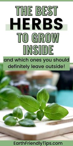 the best herbs to grow inside and which ones you should definitely leave outside are easy