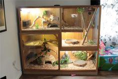 an indoor petting area with various animals and plants in glass cases on the floor