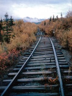 an old train track in the middle of some brush and trees with mountains in the background