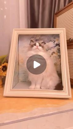 a white cat sitting on top of a table next to a vase with flowers in it