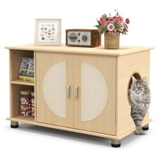 a cat standing in front of a cabinet with flowers and candies on the shelf