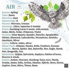 Air Element Animals, Witchy Altars, Introduction Of Myself, Magickal Correspondences, Psychic Empath, Elements Of Life, 8 Planets, Zodiac Wheel, Magick Symbols