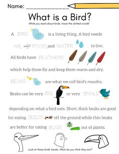 an image of what is a bird? with the words and pictures below it, which are