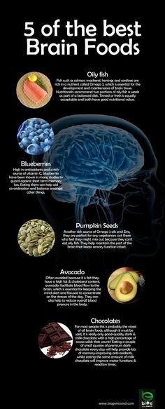 5 of the Best Brain Foods Brain Foods, Good Brain Food, Sport Nutrition, Brain Food, Nutrition Education, Brain Health, Festive Holiday