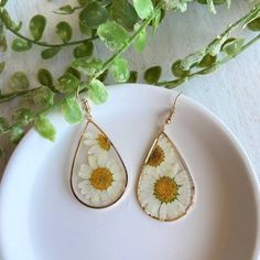 Daisy Pressed Flower Earrings Dry White Flower Teardrop Earrings April Birth Flower Daisy Resin Dried Floral Dangle Drop Chrysanthemum - Etsy Gold Daisy Earrings, 22 Birthday Gifts, April Birth Flower, Flower Bookmark, Earrings Resin, Minimalist Gifts, Daisy Earrings, Dried Floral, Birthday Gifts For Girlfriend