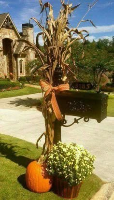 a pumpkin sitting on top of a planter next to a mailbox in front of a house