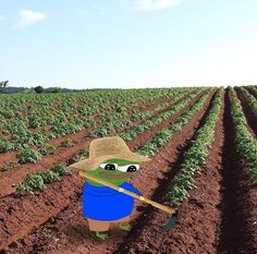 a cartoon frog with a straw hat and blue shirt is holding a shovel in a field