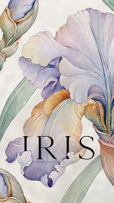 a painting of irises in a vase with the word iris on it's side