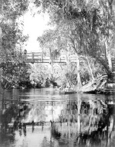 an old black and white photo of a bridge over a river with trees in the foreground