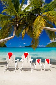 three white lawn chairs sitting on top of a sandy beach next to the ocean under a palm tree