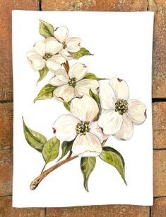 a painting of white flowers and green leaves on a brick wall with bricks in the background