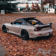 a silver sports car parked on top of leaves in front of a parking lot filled with trees