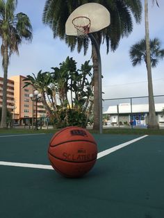 an orange basketball sitting on top of a green court next to palm trees and buildings