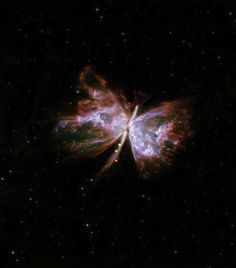 a butterfly shaped object in the middle of space