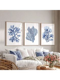 three blue and white seaweed prints on the wall above a couch in a living room