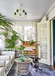 a living room filled with lots of plants and furniture