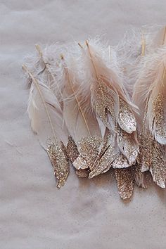 an instagram with gold and glittered feathers on the bottom right corner is shown