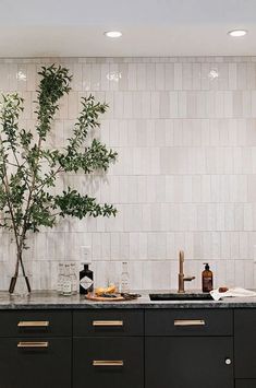 a kitchen with black cabinets and white tile backsplash, potted plant on the counter