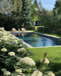 an empty swimming pool surrounded by lush green grass and white hydrangeas in the foreground