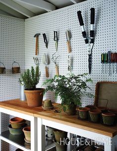 several potted plants and gardening utensils on a shelf