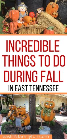 pumpkins and hay bales with the words incredible things to do during fall in east tennessee