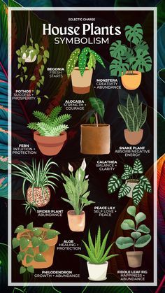 the house plants poster is shown in various colors and sizes