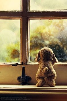 a teddy bear sitting on top of a window sill in front of a window