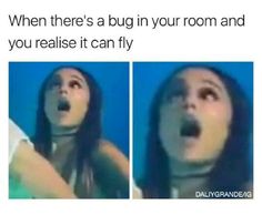 two pictures of a woman with her mouth open and the caption says, when there's a bug in your room and you reallise it can fly