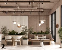 an open concept living room and dining area with potted plants on the wall, couches, tables and lamps hanging from the ceiling